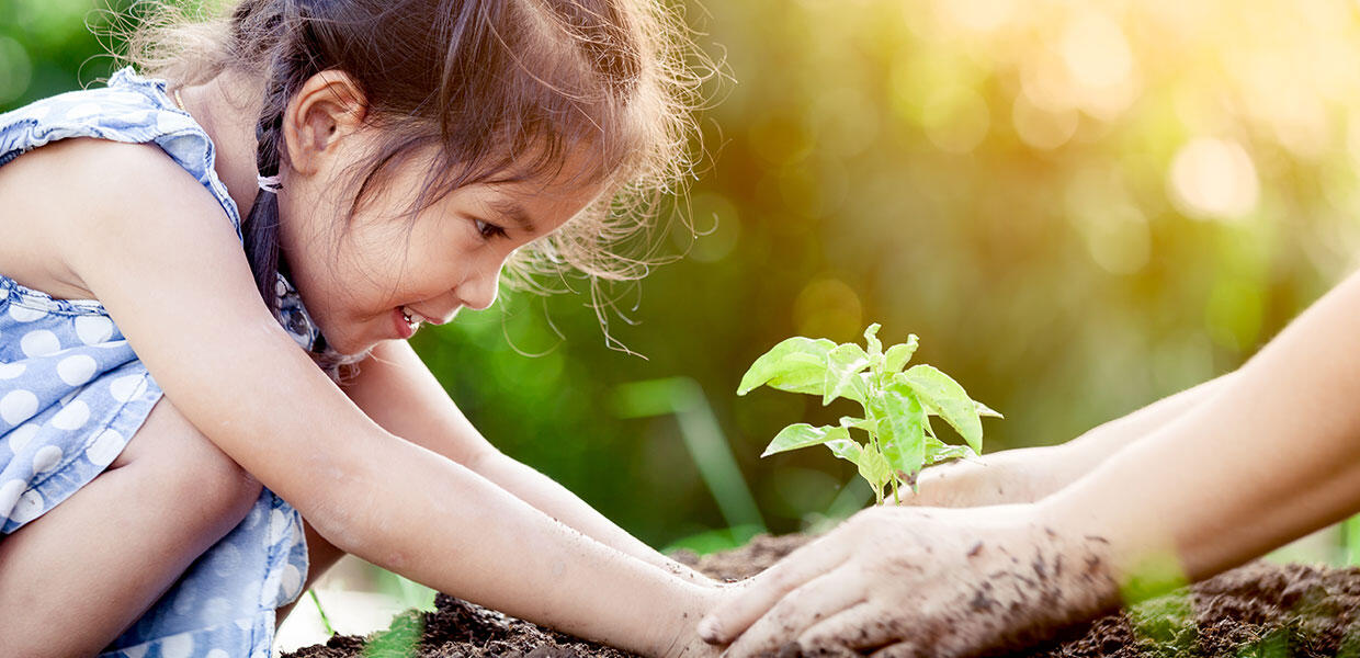 promoteur responsable