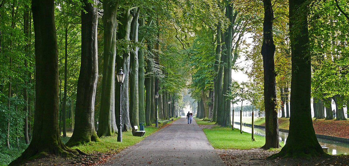 Vivre dans les Yvelines avec Icade