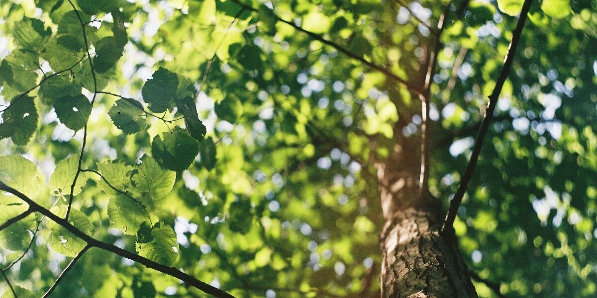 Empreinte carbone logement : tout comprendre