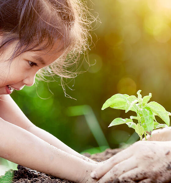 Préparer son projet immobilier