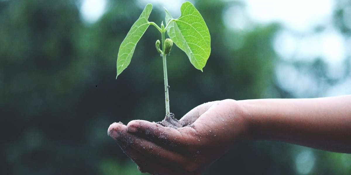 Appartement écologique : comment faire ?